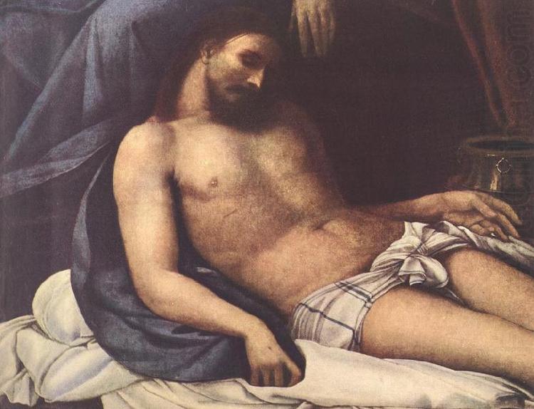 Sebastiano del Piombo The Deposition china oil painting image